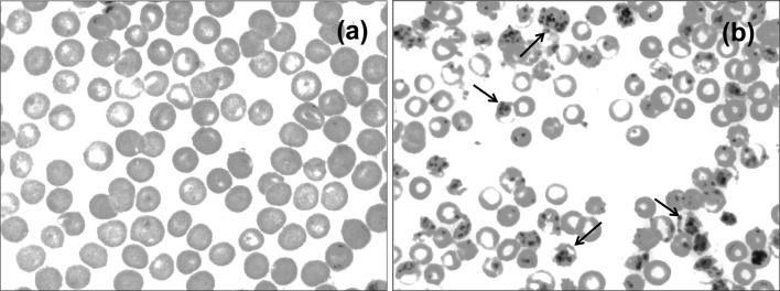 Fig. 1