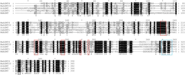 FIGURE 4