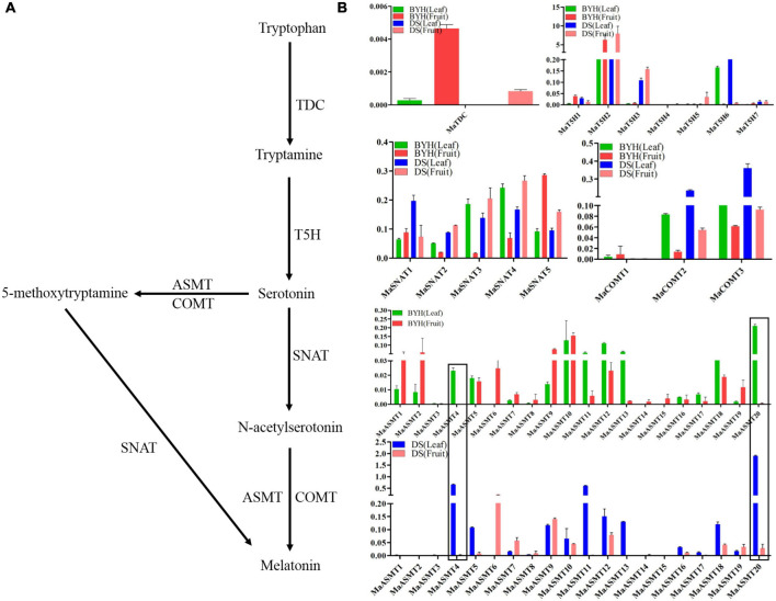 FIGURE 3