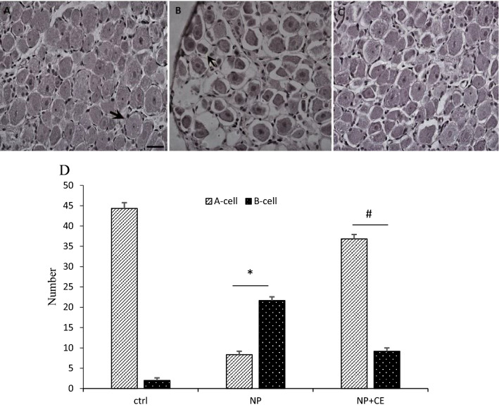 Fig. 7