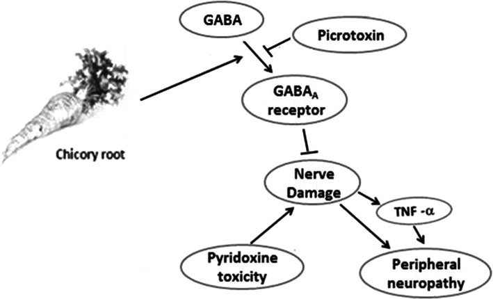 Fig. 10