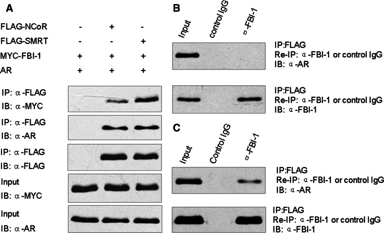 Fig. 6