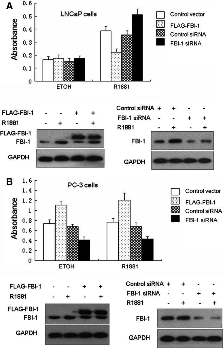 Fig. 8