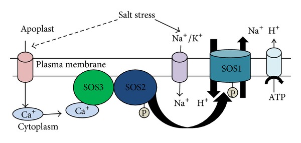 Figure 1