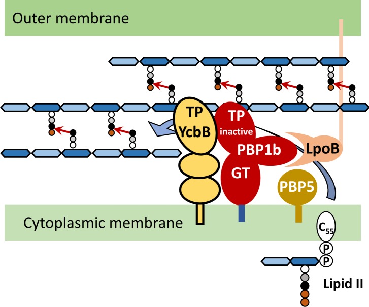 Figure 10.