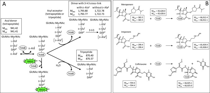 Figure 6.