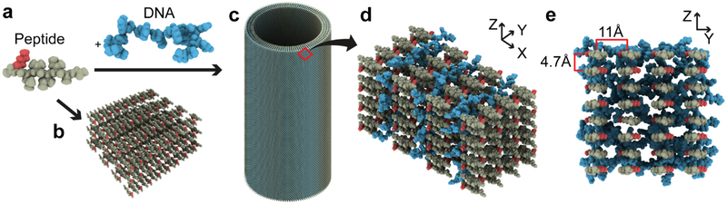 Figure 5.