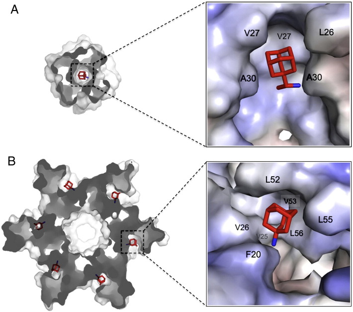 Fig. 4