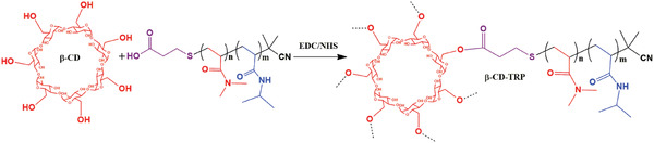 Scheme 3