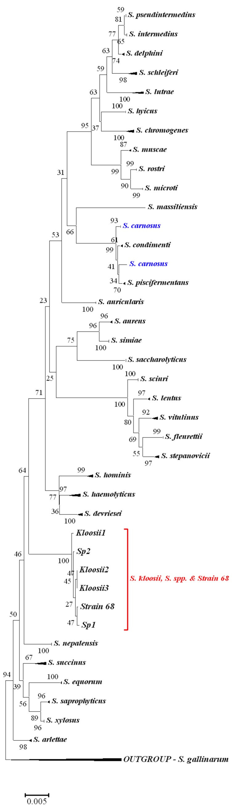 Figure 2: