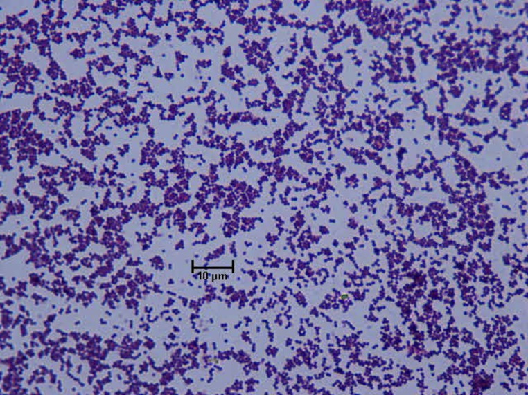 Figure 1: