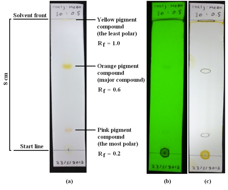 Figure 5:
