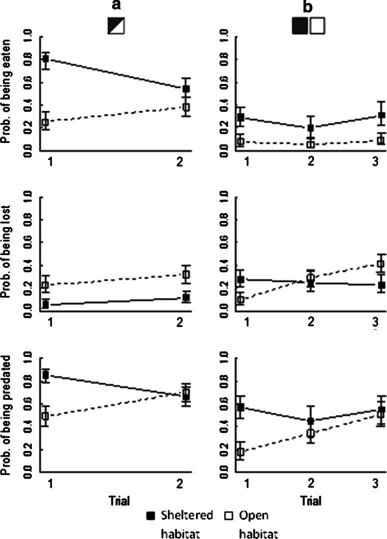 Fig. 3