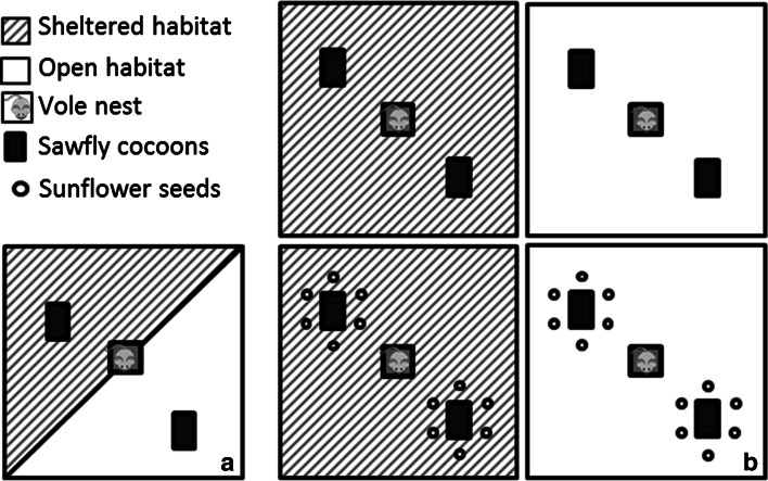 Fig. 1