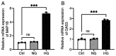 Figure 10.