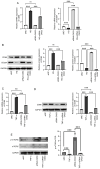 Figure 13.
