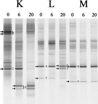 FIG. 5.