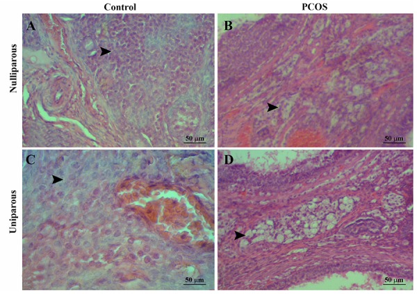 Fig.4