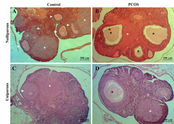 Fig.1