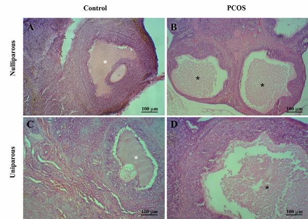 Fig.2