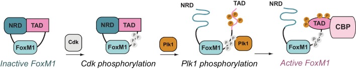 Figure 7.