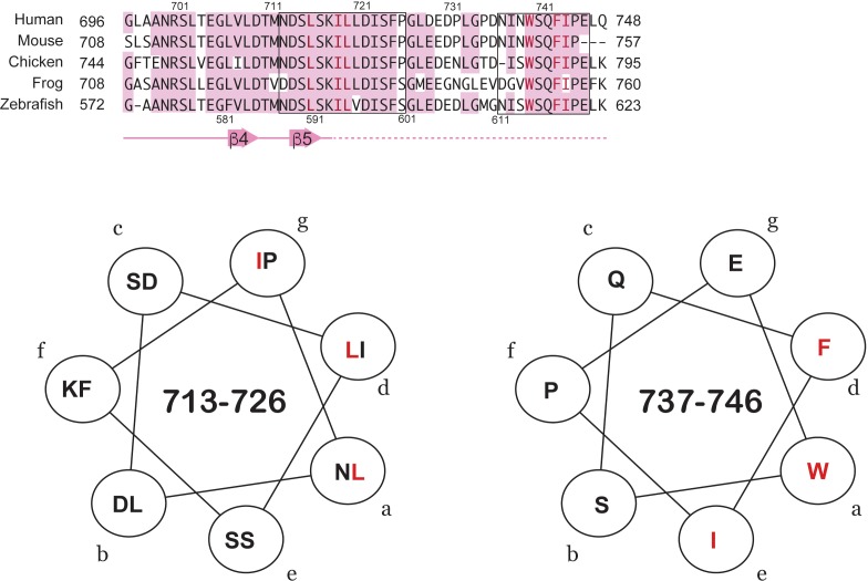 Figure 6—figure supplement 2.