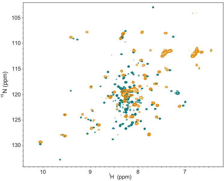 Figure 2—figure supplement 2.