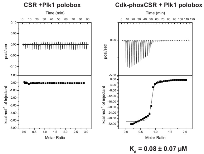 Figure 4—figure supplement 2.