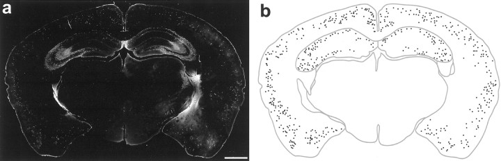 Fig. 9.