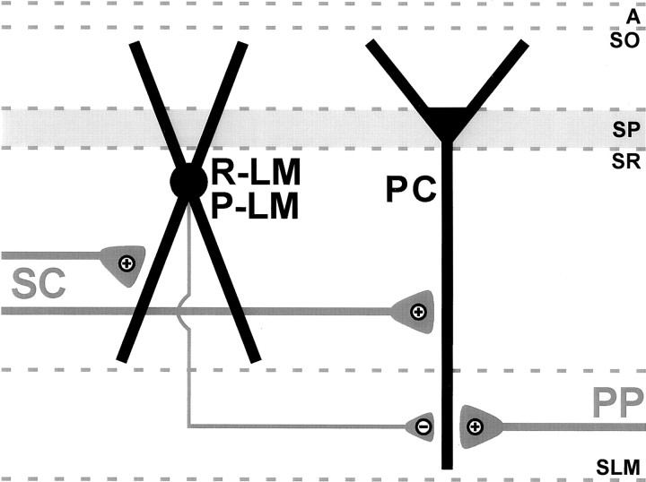 Fig. 10.