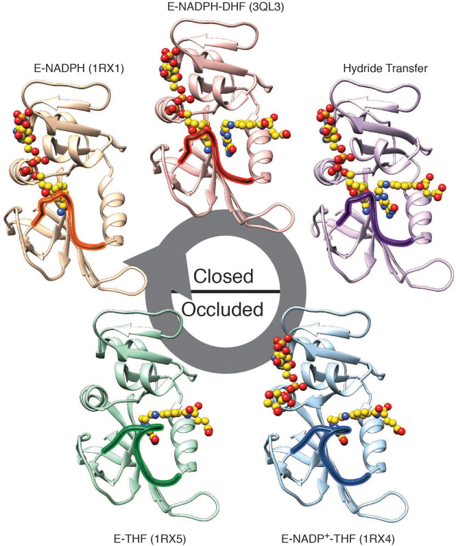 Figure 1—figure supplement 1.