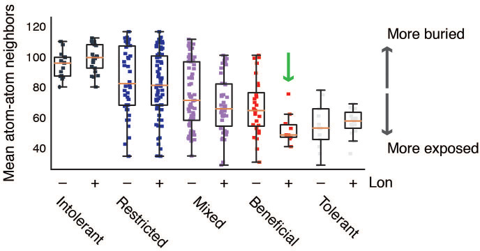 Figure 5—figure supplement 2.