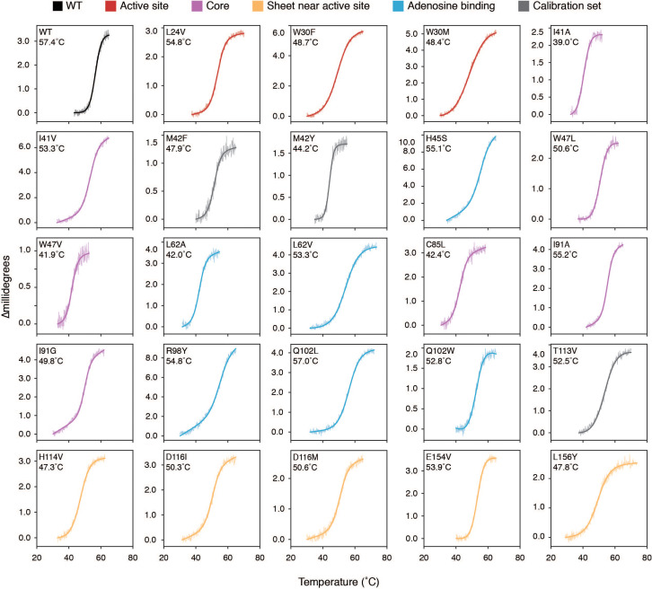 Figure 4—figure supplement 9.