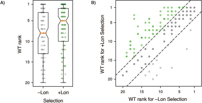 Figure 2—figure supplement 4.