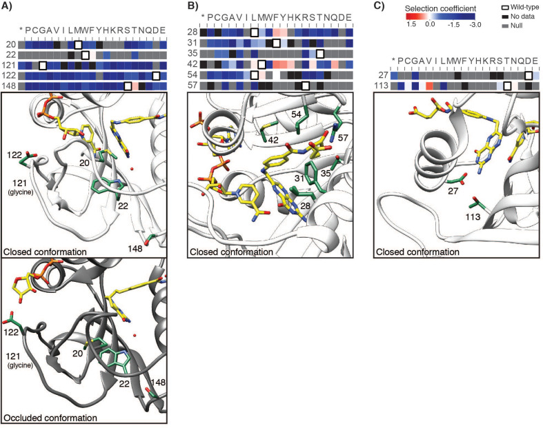 Figure 1—figure supplement 5.