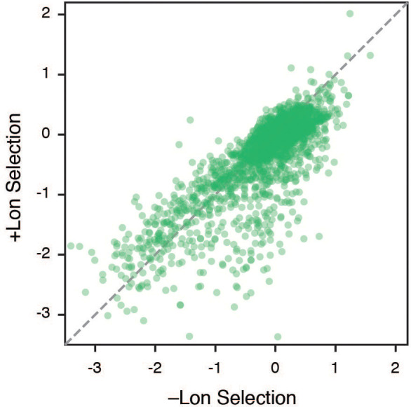 Figure 2—figure supplement 3.