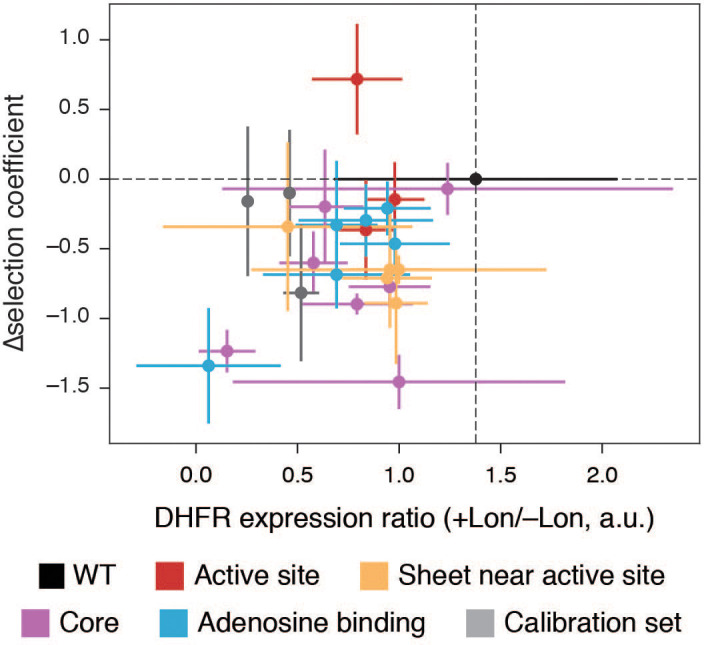 Figure 4—figure supplement 5.