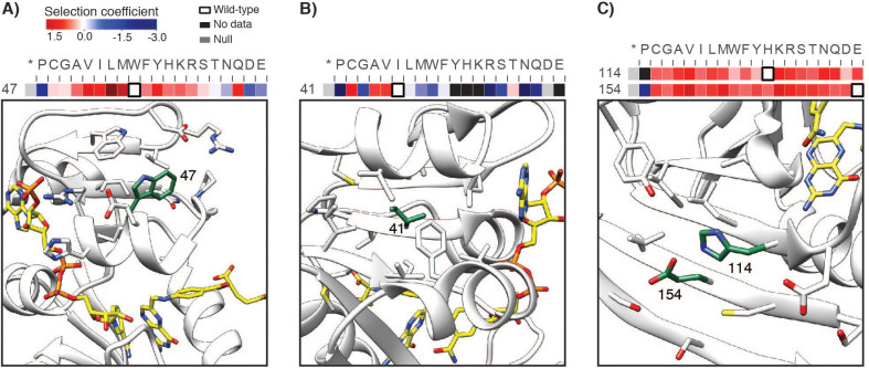 Figure 1—figure supplement 7.