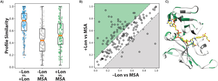 Figure 2—figure supplement 5.