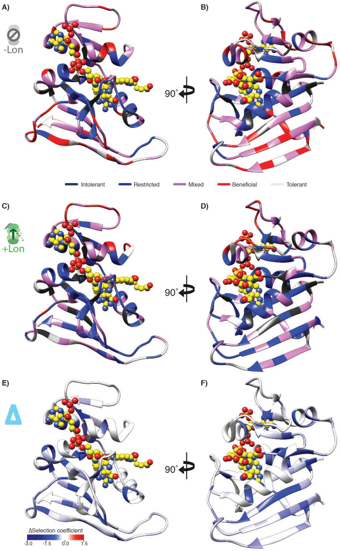 Figure 5—figure supplement 1.