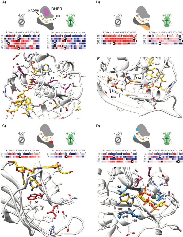 Figure 4—figure supplement 1.