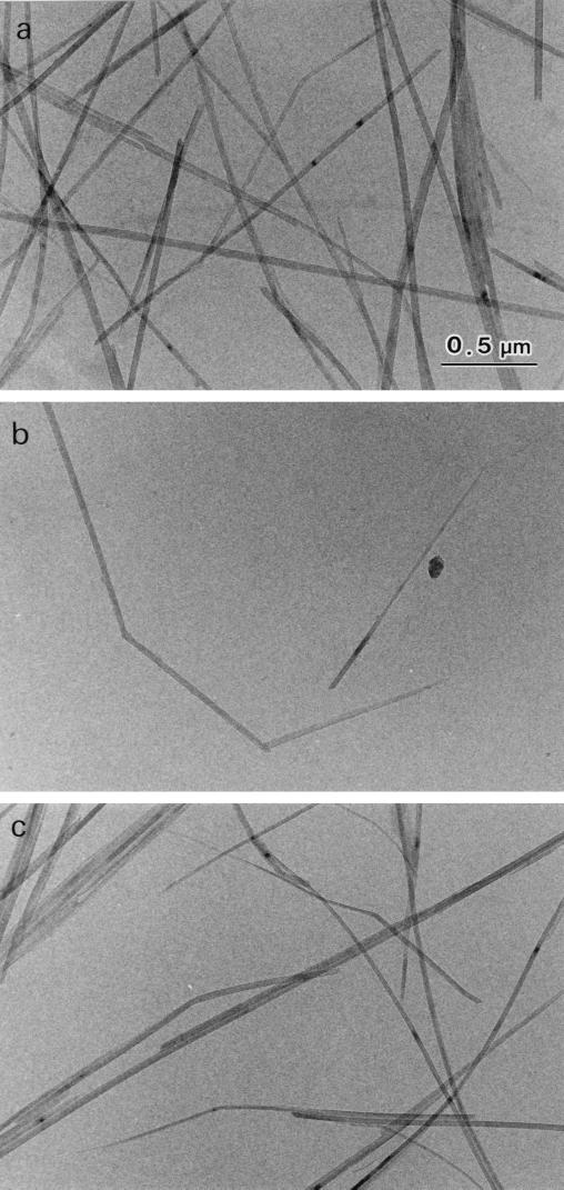 FIG. 7