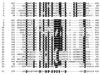 FIG. 8