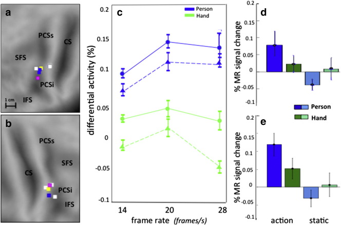 Fig. 8