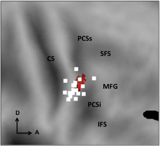 Fig. 7