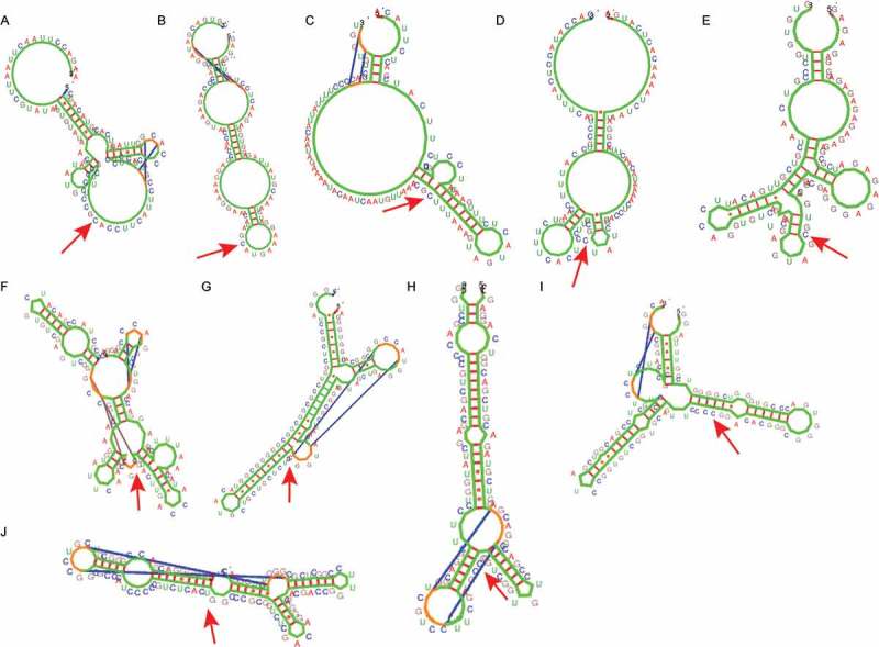 Figure 4.