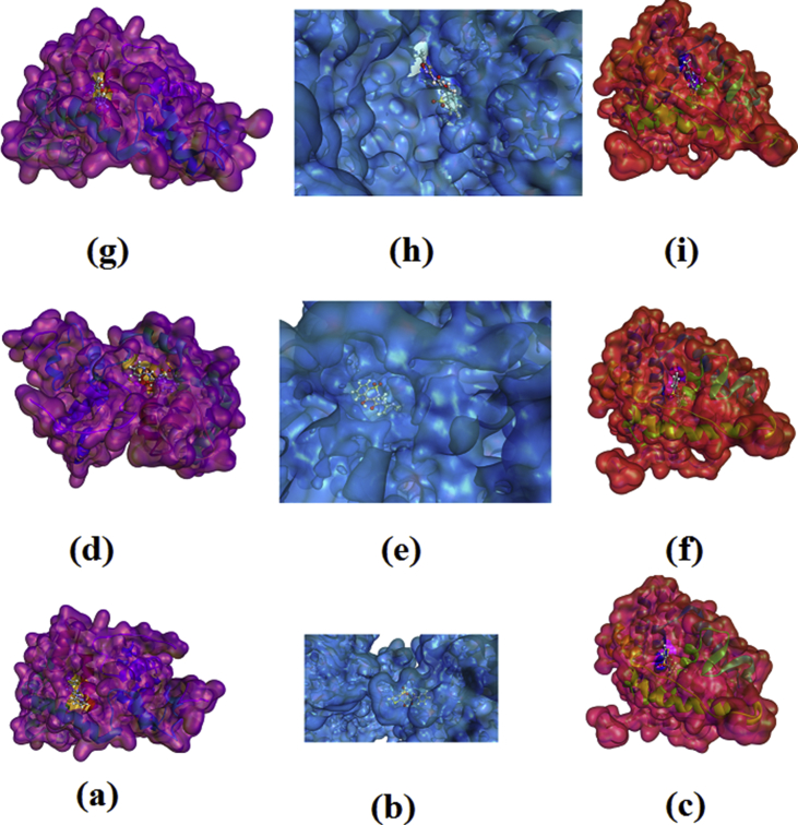 Fig. 5