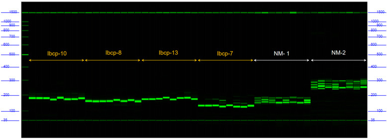 Fig. 6