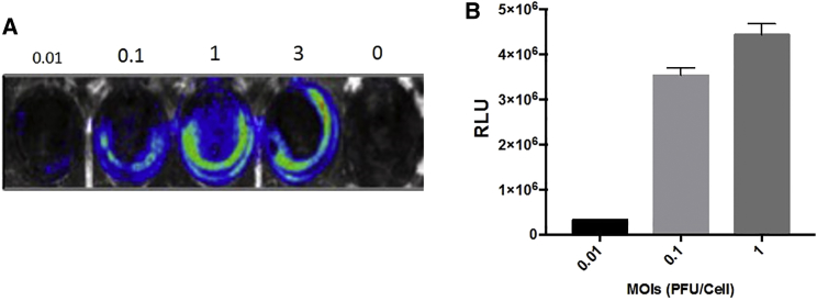 Figure 2