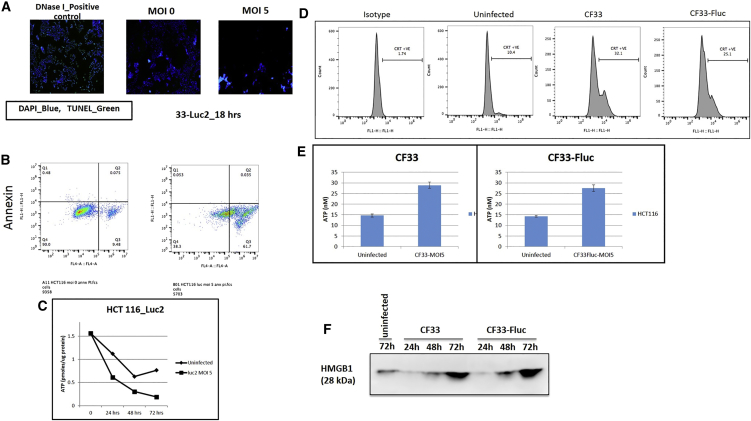 Figure 3